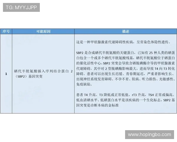 底线规则解析：篮球比赛中判定标准与实战举例